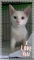 Bernardo