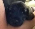 Marley