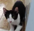 Não tem donoNa