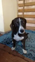 Kira