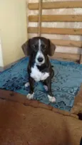 Kira