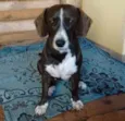 Kira
