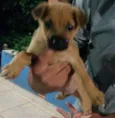 Sem nome ainda 