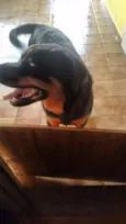 Tyson