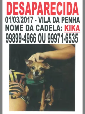 Cachorro raça Pinscher idade 6 ou mais anos nome Kika