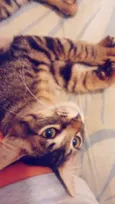 Sid