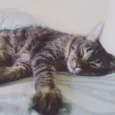 Sid