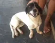 Nina