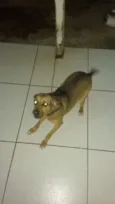Nina