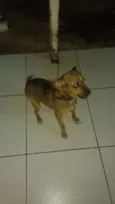 Nina
