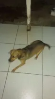 Nina