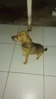 Nina