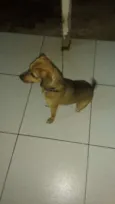 Nina