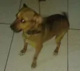 Nina