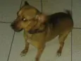 Nina