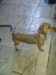 Vasco