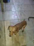 Vasco