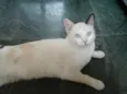 Vitória 