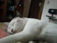 Vitória 