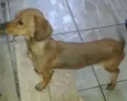 Vasco