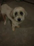 Não sei