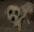 Não sei
