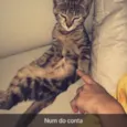 Lua 