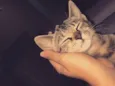 Lua 