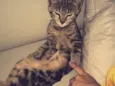 Lua 