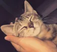 Lua 