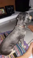 Kiara