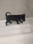 não sei