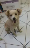 Nina