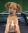 Paçoca