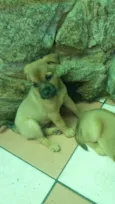 Loira / Magrela
