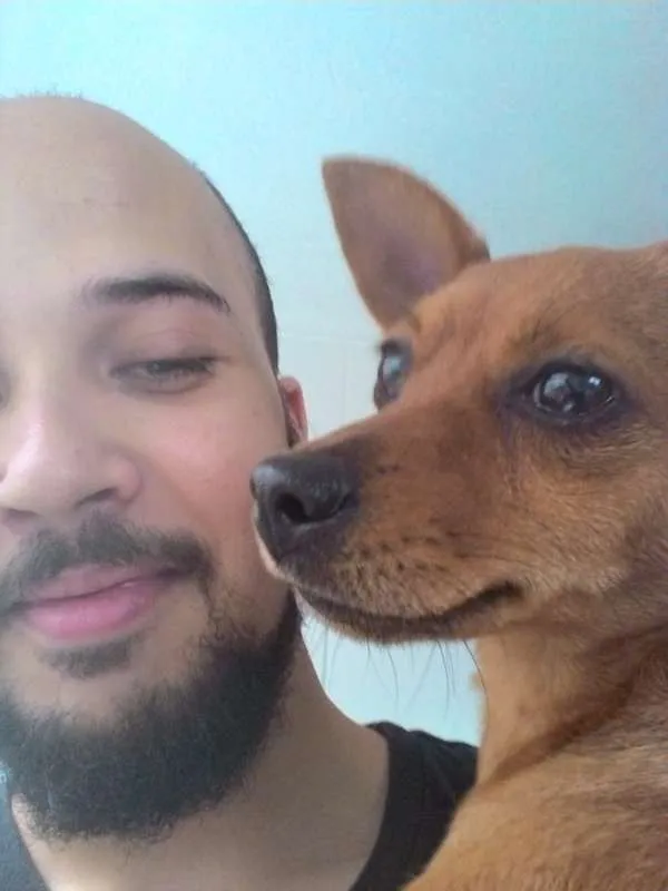 Cachorro ra a SDR idade 1 ano nome Sem Nome