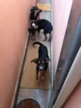 Não definido
