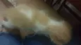 Não tem
