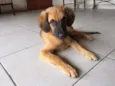 Francisco