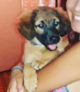 Francisco
