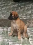 Baby