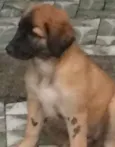 Baby