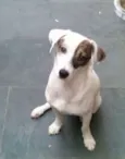 Paçoca