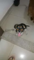 Sem nome ainda