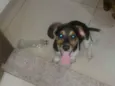 Sem nome ainda