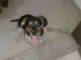 Sem nome ainda