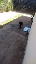 Não tem ainda