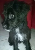 Bepa