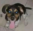 Sem nome ainda