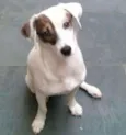 Paçoca